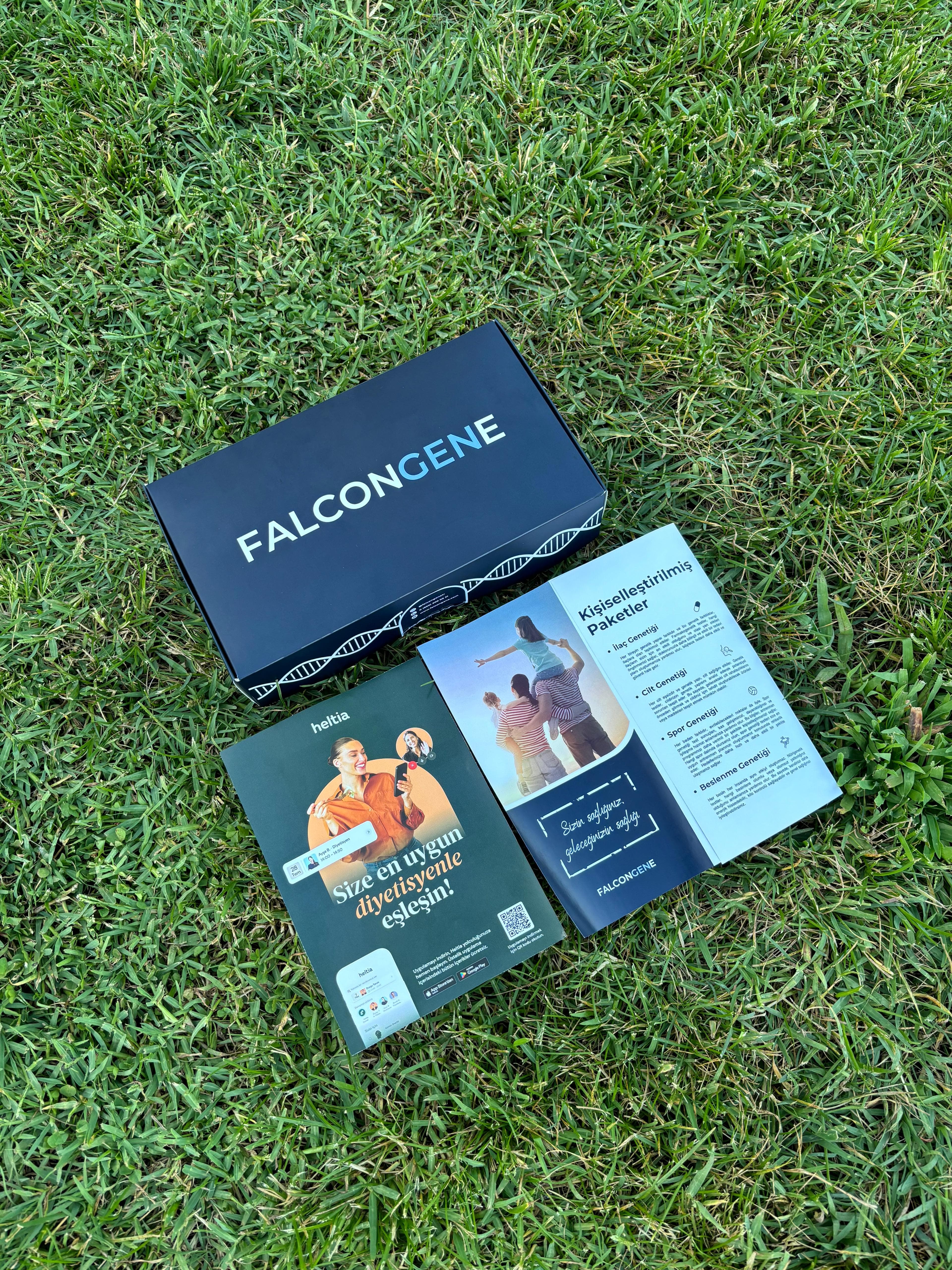 FALCONGENE Test Kiti